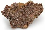 Striking, Red-Brown Wulfenite Cluster - Kuruktag Mountains, China #225010-1